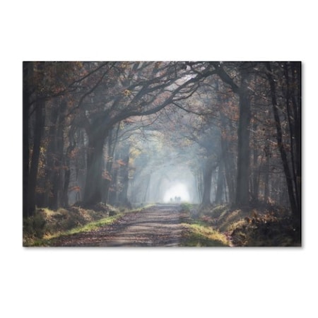 Trademark Fine Art Anna Cseresnjes 'Forest Walk' Canvas Art, 30x47 1X02478-C3047GG